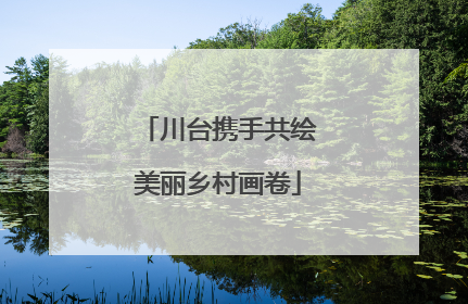 川台携手共绘美丽乡村画卷