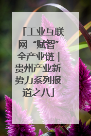 工业互联网“赋智”全产业链｜贵州产业新势力系列报道之八