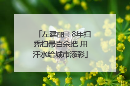 左建丽：8年扫秃扫帚百余把 用汗水给城市添彩