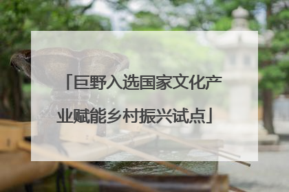 巨野入选国家文化产业赋能乡村振兴试点