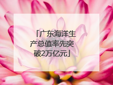 广东海洋生产总值率先突破2万亿元