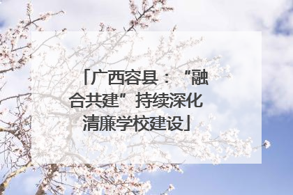广西容县：“融合共建”持续深化清廉学校建设
