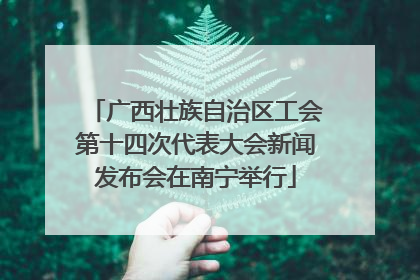 广西壮族自治区工会第十四次代表大会新闻发布会在南宁举行