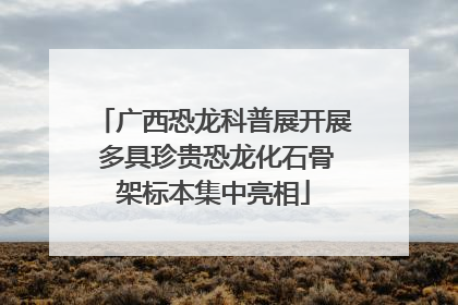 广西恐龙科普展开展 多具珍贵恐龙化石骨架标本集中亮相