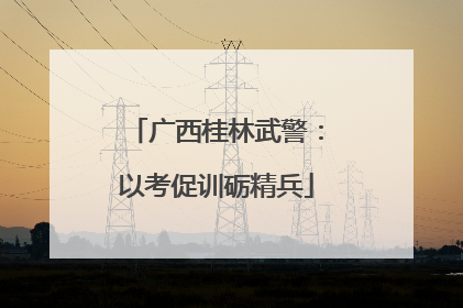 广西桂林武警：以考促训砺精兵
