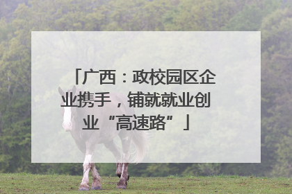 广西：政校园区企业携手，铺就就业创业“高速路”