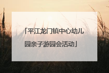 平江龙门镇中心幼儿园亲子游园会活动