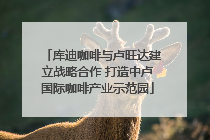 库迪咖啡与卢旺达建立战略合作 打造中卢国际咖啡产业示范园