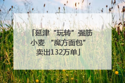 延津“玩转”强筋小麦 “魔方面包”卖出132万单