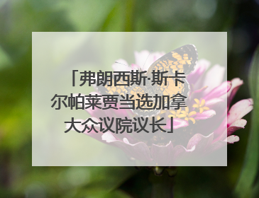 弗朗西斯·斯卡尔帕莱贾当选加拿大众议院议长