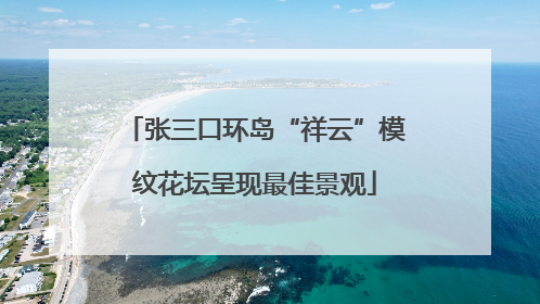 张三口环岛“祥云”模纹花坛呈现最佳景观