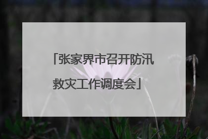 张家界市召开防汛救灾工作调度会