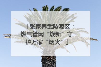 张家界武陵源区：燃气管网“焕新”守护万家“烟火”