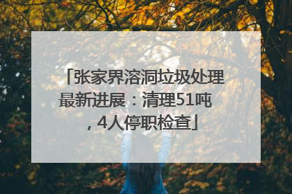 张家界溶洞垃圾处理最新进展：清理51吨，4人停职检查