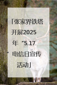 张家界铁塔开展2025年“5.17”电信日宣传活动