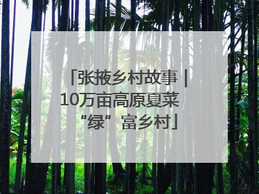张掖乡村故事｜10万亩高原夏菜“绿”富乡村