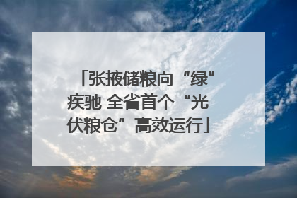 张掖储粮向“绿”疾驰 全省首个“光伏粮仓”高效运行