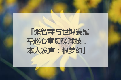 张智霖与世锦赛冠军赵心童切磋球技，本人发声：很梦幻