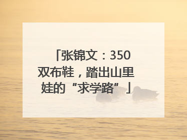 张锦文：350双布鞋，踏出山里娃的“求学路”