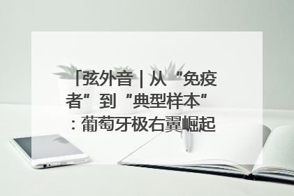 弦外音｜从“免疫者”到“典型样本”：葡萄牙极右翼崛起背后的欧洲困局