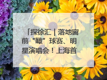 探徐汇｜落地窗前“瞰”球赛、明星演唱会！上海首家体育特色高端酒店亮相