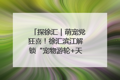 探徐汇｜萌宠党狂喜！徐汇滨江解锁“宠物游轮+天台乐园”双玩法