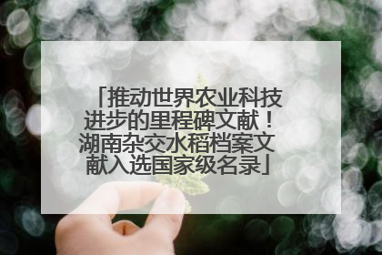 推动世界农业科技进步的里程碑文献！湖南杂交水稻档案文献入选国家级名录