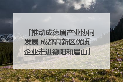 推动成德眉产业协同发展 成都高新区优质企业走进德阳和眉山