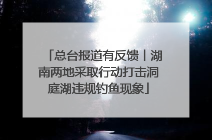 总台报道有反馈丨湖南两地采取行动打击洞庭湖违规钓鱼现象