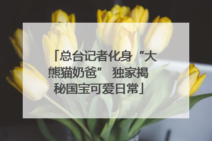 总台记者化身“大熊猫奶爸” 独家揭秘国宝可爱日常