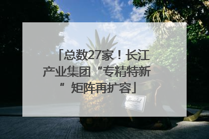 总数27家！长江产业集团“专精特新”矩阵再扩容