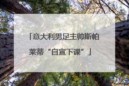 意大利男足主帅斯帕莱蒂“自宣下课”