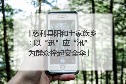 慈利县阳和土家族乡：以“迅”应“汛” 为群众撑起安全伞