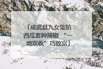 成武县九女集镇：西瓜套种辣椒 “一地双收”巧致富