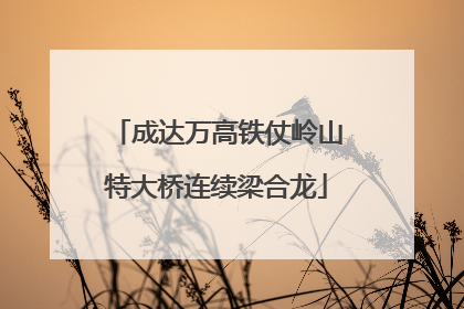成达万高铁仗岭山特大桥连续梁合龙