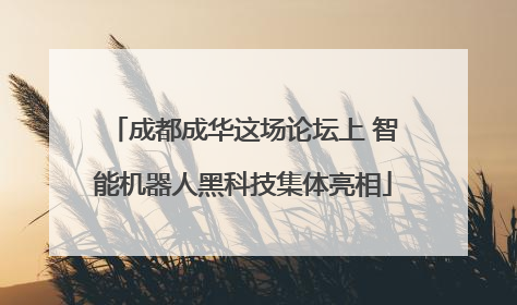成都成华这场论坛上 智能机器人黑科技集体亮相