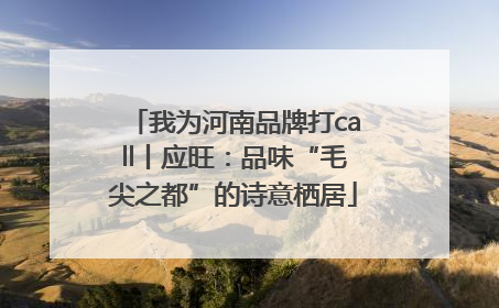 我为河南品牌打call丨应旺：品味“毛尖之都”的诗意栖居