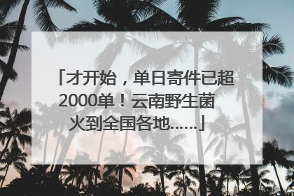 才开始，单日寄件已超2000单！云南野生菌火到全国各地……