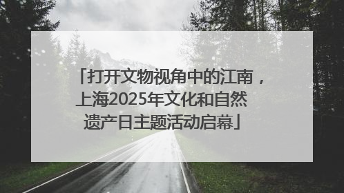 打开文物视角中的江南，上海2025年文化和自然遗产日主题活动启幕