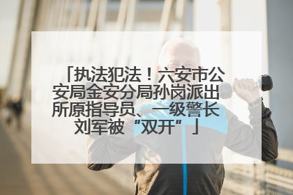 执法犯法！六安市公安局金安分局孙岗派出所原指导员、一级警长刘军被“双开”