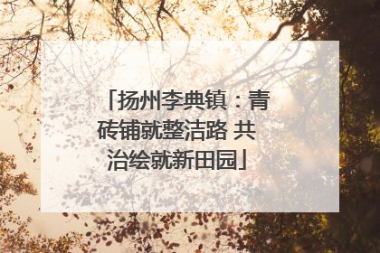 扬州李典镇：青砖铺就整洁路 共治绘就新田园