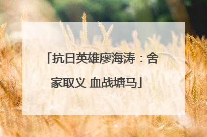 抗日英雄廖海涛：舍家取义 血战塘马