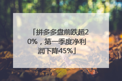 拼多多盘前跌超20%，第一季度净利润下降45%