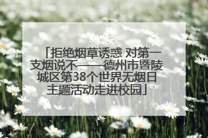 拒绝烟草诱惑 对第一支烟说不——德州市暨陵城区第38个世界无烟日主题活动走进校园