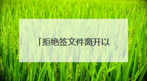 拒绝签文件离开以色列 “玛德琳”号船上8人被拘