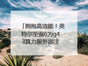 拥抱高效能！英特尔至强6为g4il算力服务器注入强大动力