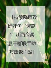 持续降雨致娃娃鱼“迷路” 江西金溪县干群联手助其重返自然