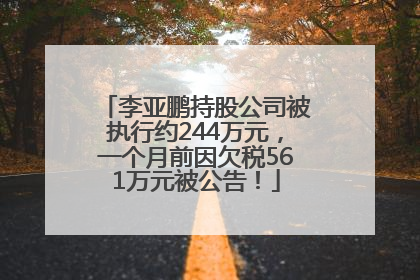 李亚鹏持股公司被执行约244万元，一个月前因欠税561万元被公告！