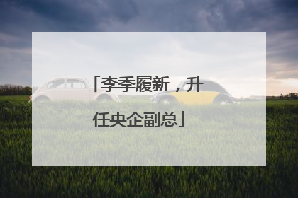 李季履新，升任央企副总