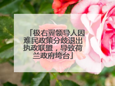 极右翼领导人因难民政策分歧退出执政联盟，导致荷兰政府垮台
